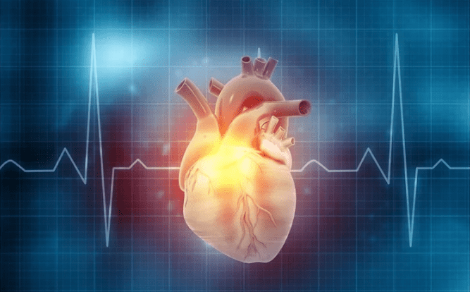 Artificial-Heart-Cardiovascular-Medical-Device-Consulting-Experts-in-Healthcare-Simulation-SimuTech-Group