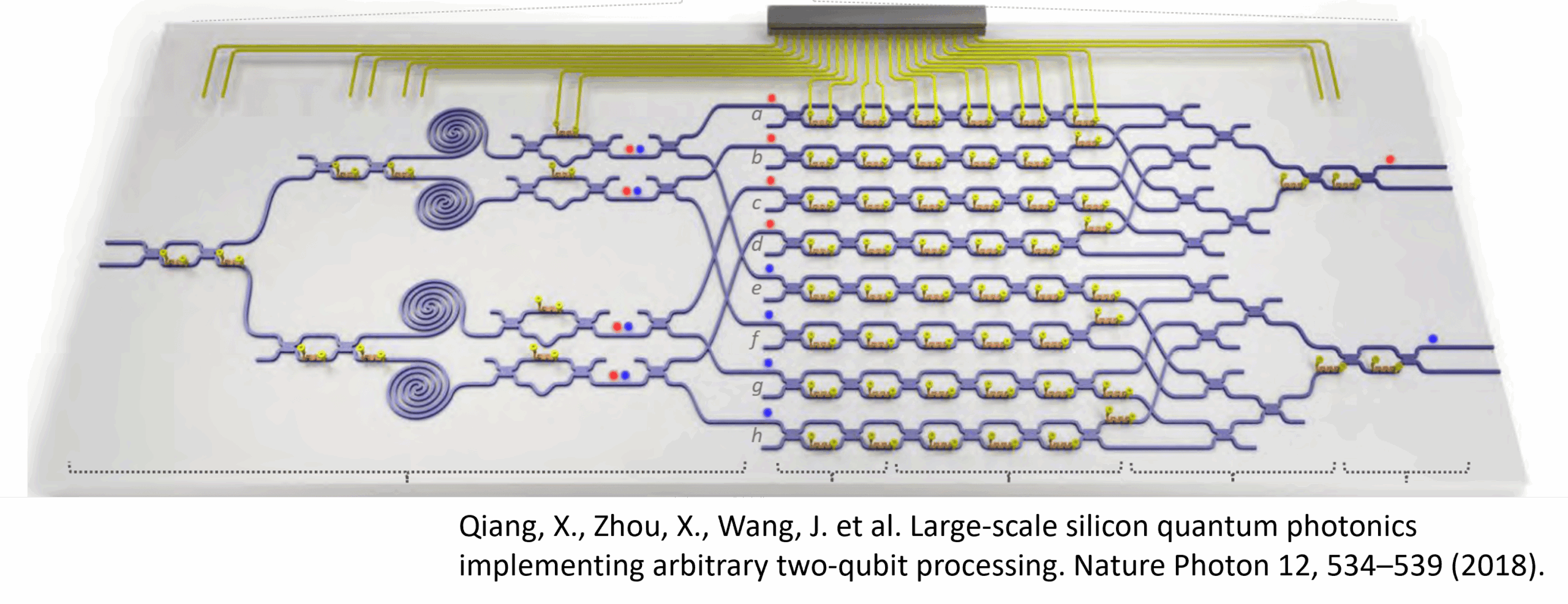 ion trap quantum computers