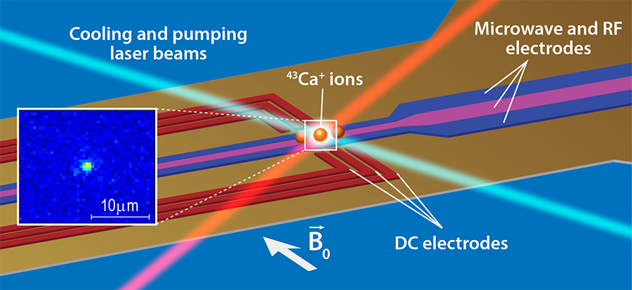 Credit APS/Alan Stonebraker, Trapped Ions Make Impeccable Qubits