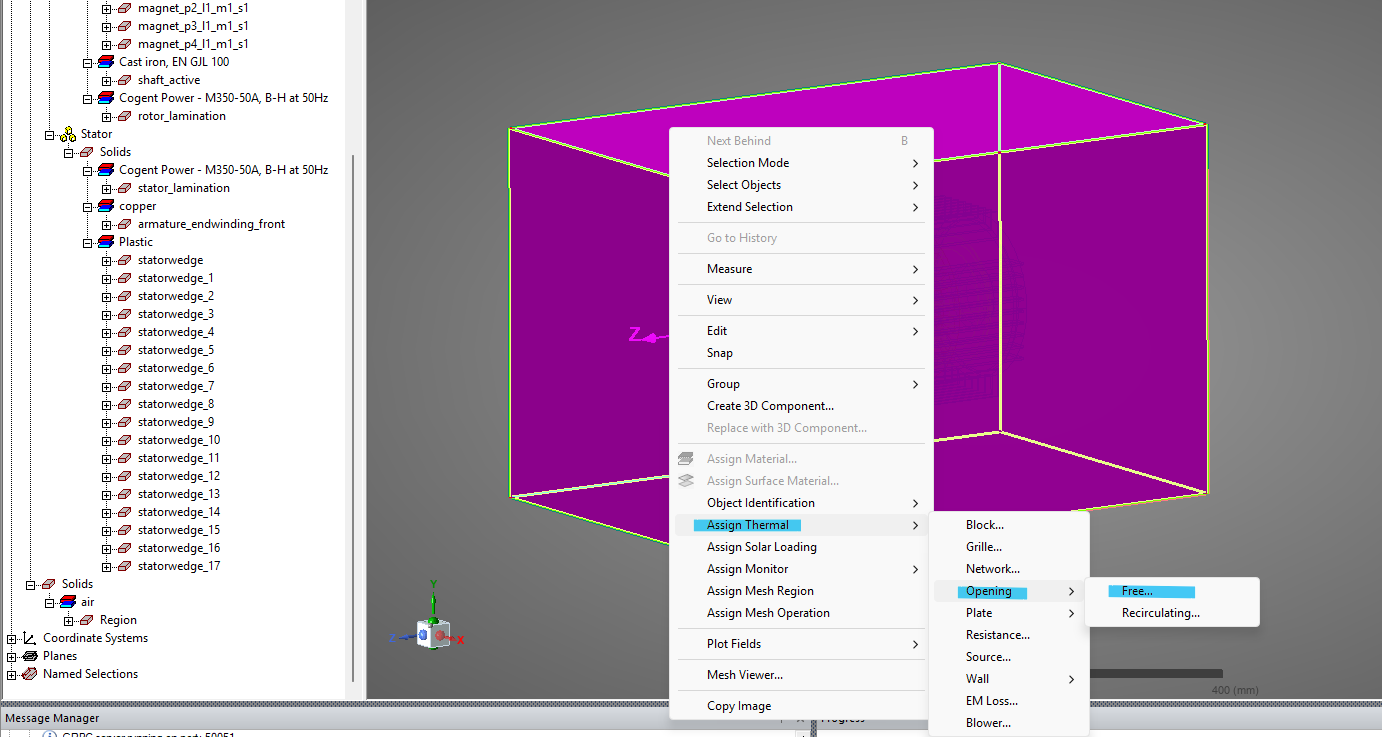 electric motor thermal simulation icepak settings screen