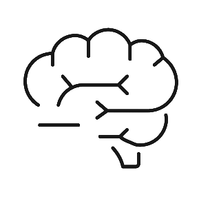 brain fast line icon