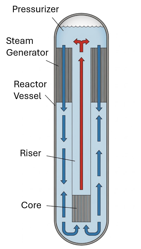 Figure 1. Natural circulation in SMR. SMR passive cooling